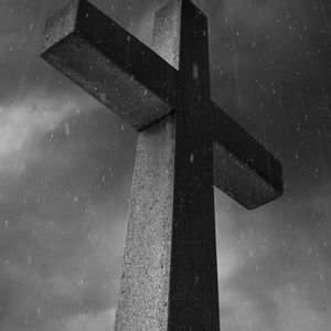 Meet your Posher, Aray